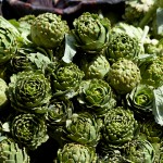 globe artichoke, by tuba şatana
